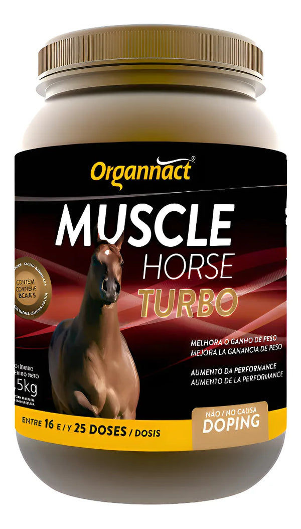 Muscle Horse turbo 2.5L