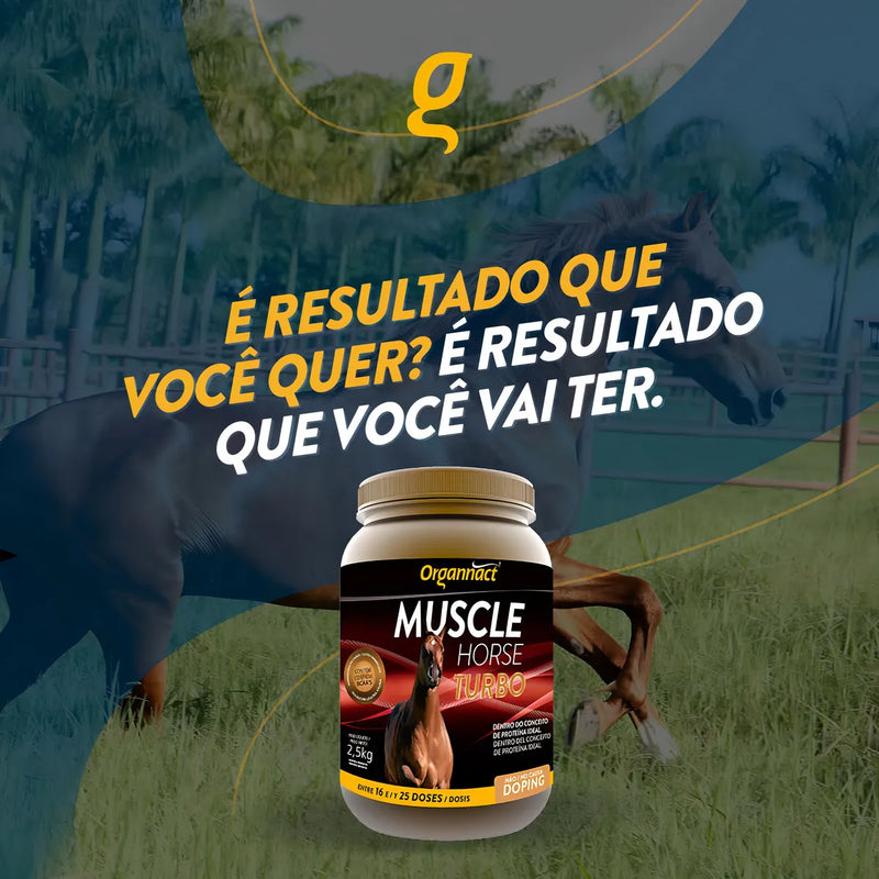 Muscle Horse turbo 2.5L