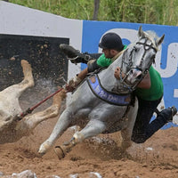 Kit Suplemento Cavalo Forte 2Kg Cavalo Forte Premium + 2Kg Crescimento 1kg cada