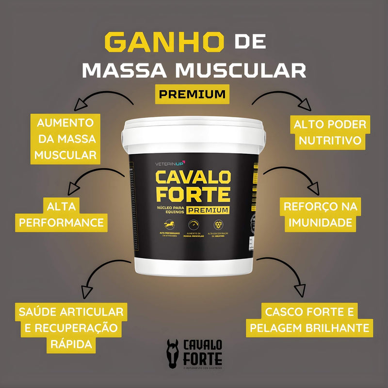 Suplemento Cavalo Forte Premium 1kg